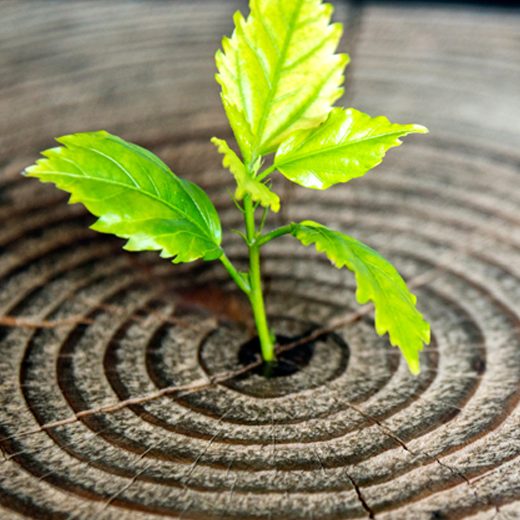 main image financial 180307 v3 main image financial 180307 v3