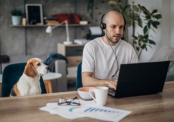 uwf-agent-work-from-home Agent work from home